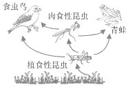 菁優(yōu)網(wǎng)