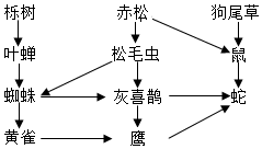 菁優(yōu)網(wǎng)