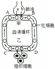 菁優(yōu)網(wǎng)