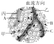 菁優(yōu)網(wǎng)