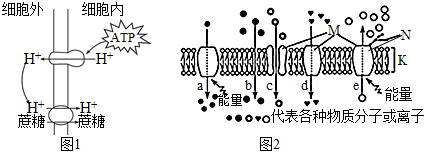 菁優(yōu)網(wǎng)