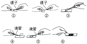 菁優(yōu)網