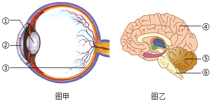 菁優(yōu)網