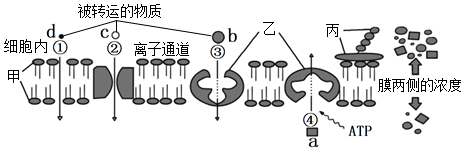 菁優(yōu)網(wǎng)