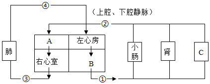 菁優(yōu)網