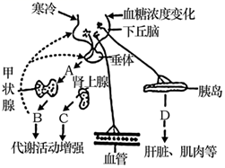 菁優(yōu)網(wǎng)