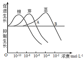 菁優(yōu)網