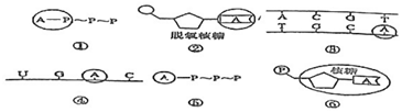 菁優(yōu)網