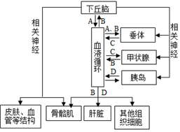 菁優(yōu)網(wǎng)