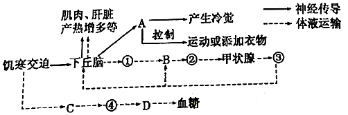 菁優(yōu)網(wǎng)