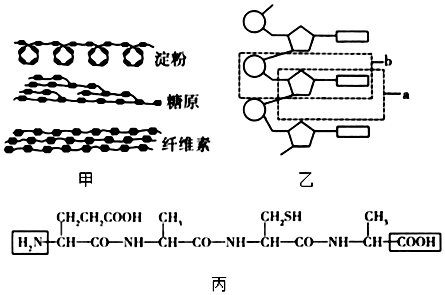 菁優(yōu)網