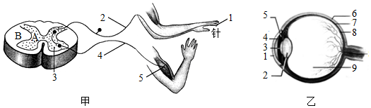 菁優(yōu)網(wǎng)