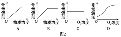 菁優(yōu)網