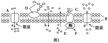 菁優(yōu)網