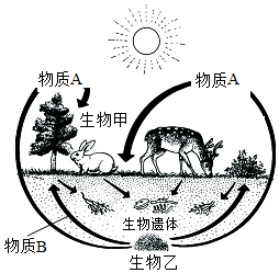 菁優(yōu)網(wǎng)