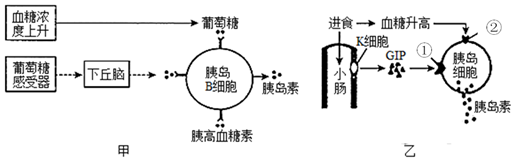 菁優(yōu)網