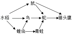 菁優(yōu)網