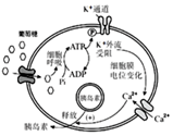 菁優(yōu)網(wǎng)