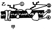 菁優(yōu)網(wǎng)