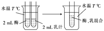 菁優(yōu)網