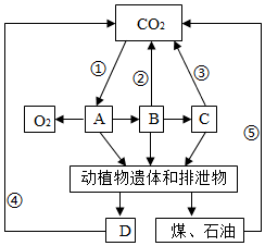 菁優(yōu)網