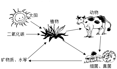 菁優(yōu)網(wǎng)