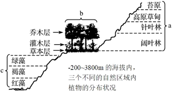 菁優(yōu)網