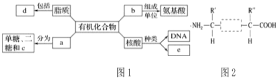 菁優(yōu)網