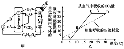 菁優(yōu)網(wǎng)