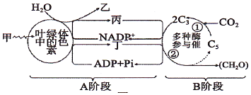 菁優(yōu)網(wǎng)