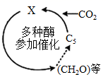 菁優(yōu)網(wǎng)