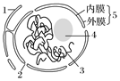 菁優(yōu)網