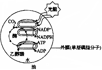 菁優(yōu)網(wǎng)