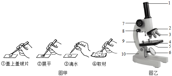 菁優(yōu)網(wǎng)