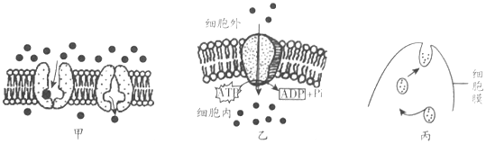 菁優(yōu)網(wǎng)