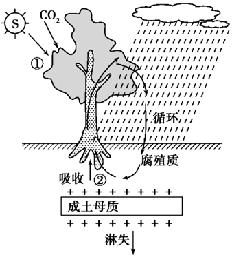 菁優(yōu)網(wǎng)