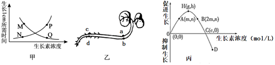 菁優(yōu)網(wǎng)