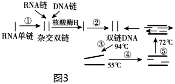 菁優(yōu)網