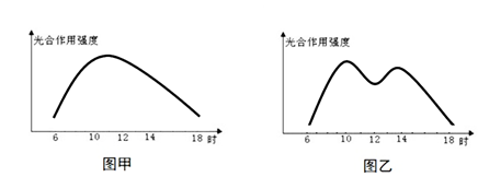 菁優(yōu)網