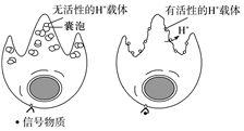 菁優(yōu)網