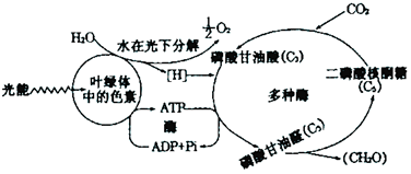 菁優(yōu)網(wǎng)