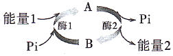 菁優(yōu)網(wǎng)