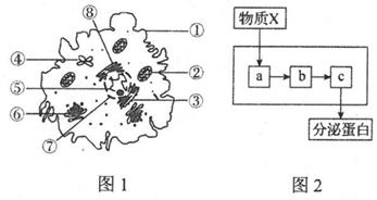 菁優(yōu)網