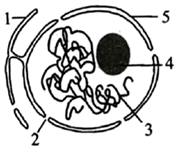 菁優(yōu)網