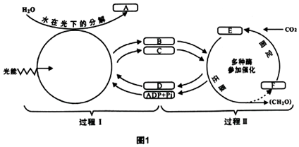 菁優(yōu)網