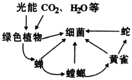 菁優(yōu)網