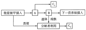 菁優(yōu)網(wǎng)