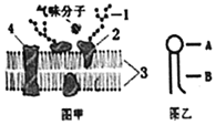 菁優(yōu)網(wǎng)