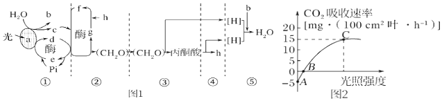 菁優(yōu)網(wǎng)