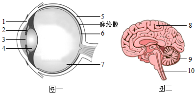 菁優(yōu)網